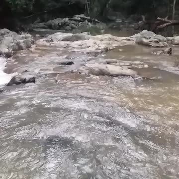 20.4.2024 Jum Rum Creek