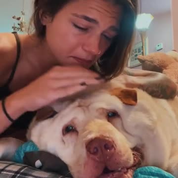 Time Is Such A Thief ... #dogs