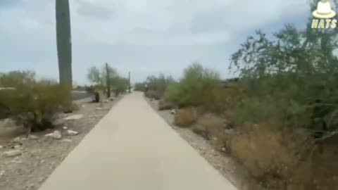 Hiding 5G Towers. They think we're stupid.