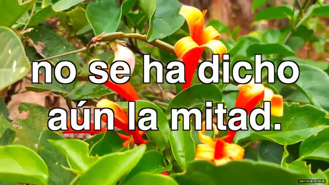 Escuela de Padres - 06-Dic-2021