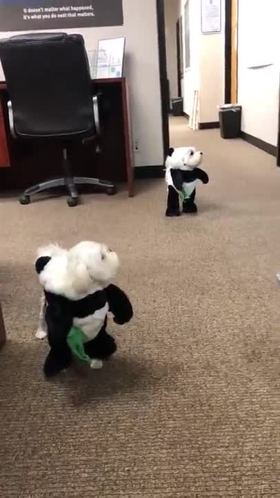 🤣Funny Dog Videos 2022🤣 🐶 It's time to LAUGH with Dog's life