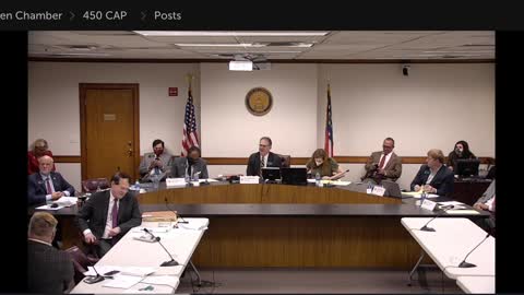 Sally Grubbs GA Senate Hearing 123020