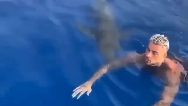 Unexpected visit frightens man who was swimming.