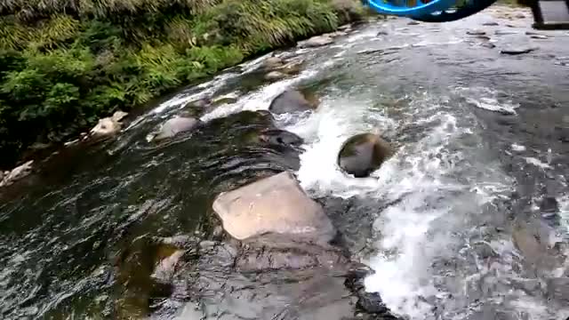 You won't Believe How Good This River is. Big Trout Everywhere