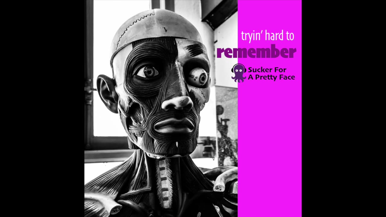 Tryin' Hard To Remember – Sucker For A Pretty Face