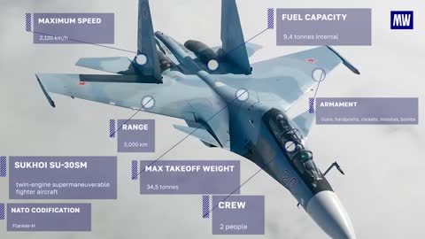 This aircraft is Sukhoi Su-30SM