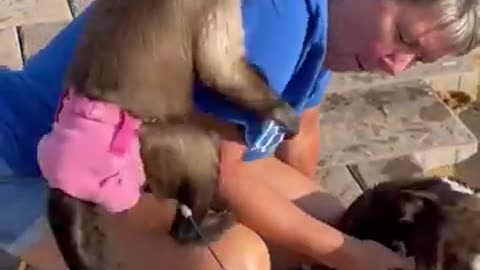 More pool