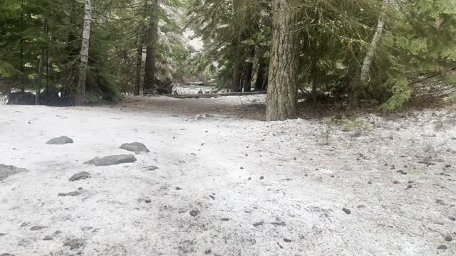 Hiking Through Inclement Weather – Deschutes River Trail – Central Oregon – 4K