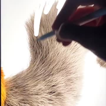 Another version of Ice Age | Learn Procreate