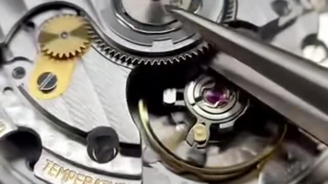 Disassemble a very valuable watch