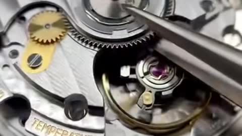 Disassemble a very valuable watch