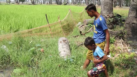 best traditional hands fishing by village boys