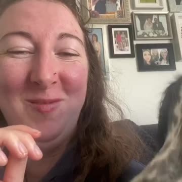 Doggo steals hoomans food