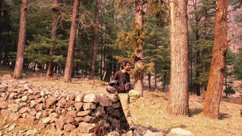 Bagha Sarahan Kullu Campsite