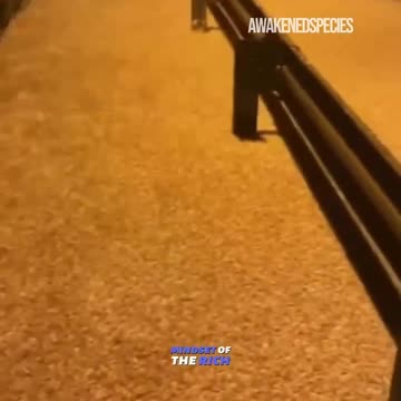 Meanwhile in Latvia....Moths are going crazy!