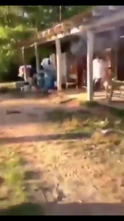 Try not to laugh🤣 Funny animals😹‖ #shorts #funnyvideos