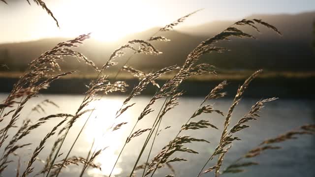 Beautiful nature with beautiful music 💕💕