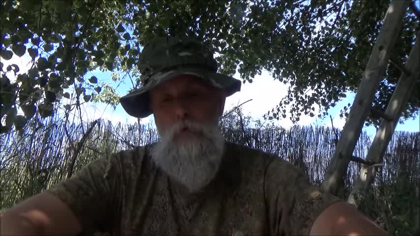 Thulean Perspective - Japan: The Ideal Ethnostate?