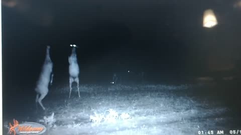 DOE FIGHT