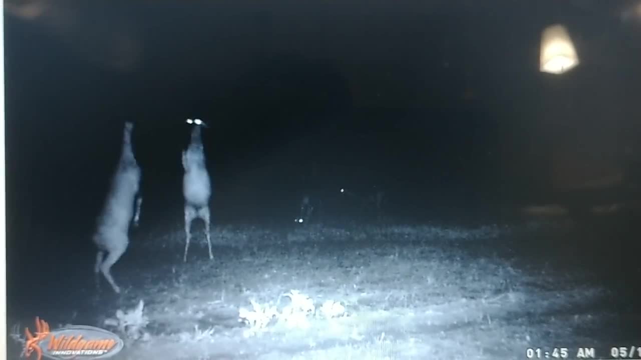 DOE FIGHT