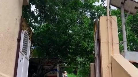 MALNATH MAHADEV