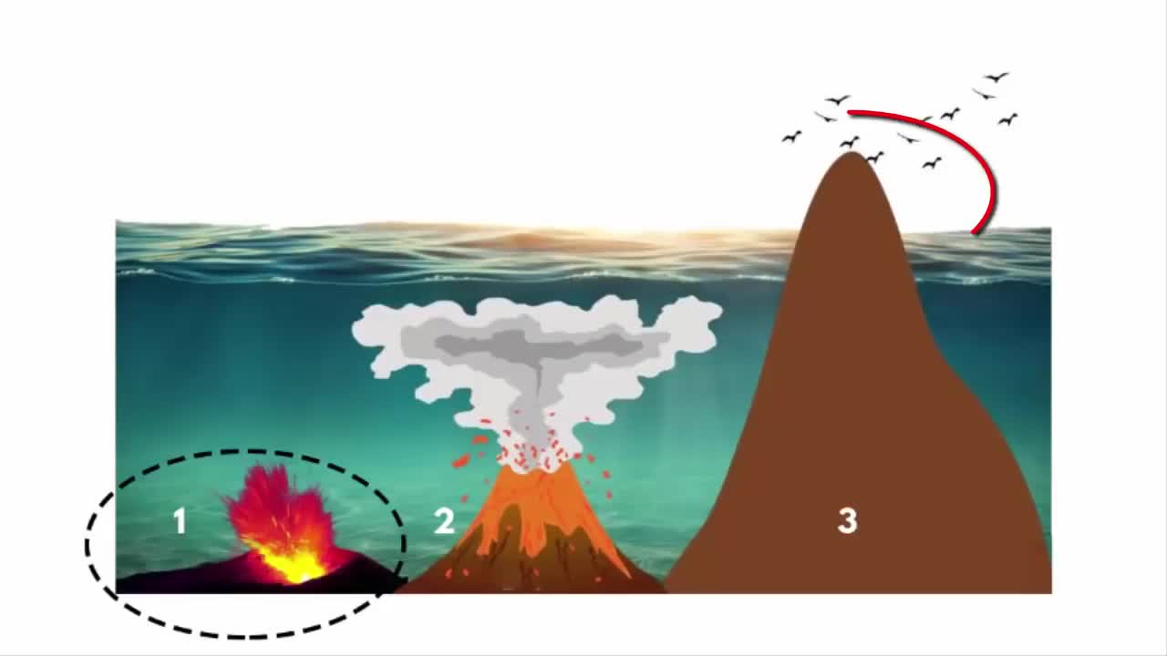 How an Atoll is formed