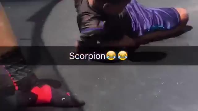 Kid in purple shorts tries trampoline trick. gets caught in net.