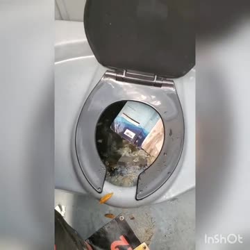 Left Wing people steal Bible, kick it around like soccer ball, then throw it in a toilet