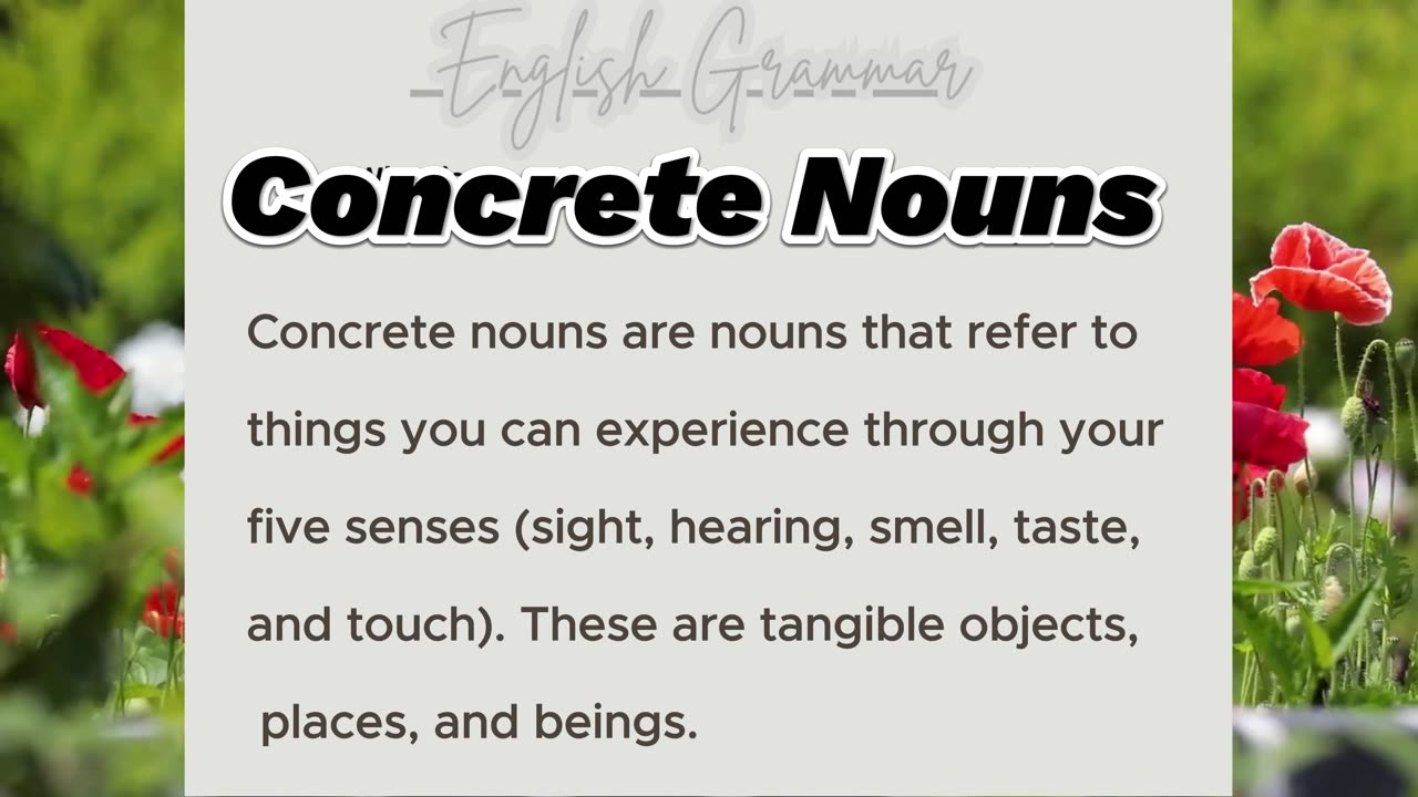 What is a Concrete Noun? Explained with Examples!