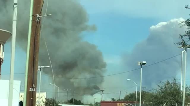 Sugar Cane harvest in South Texas!