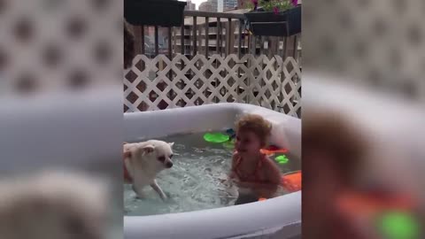 Dog And Baby Take A Swim Very Funny Time _ Funny Baby Video