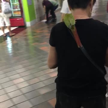 Green bird sitting on shoulder of woman in black shirt