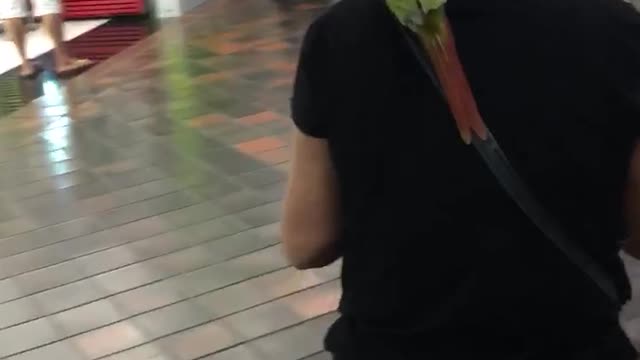 Green bird sitting on shoulder of woman in black shirt