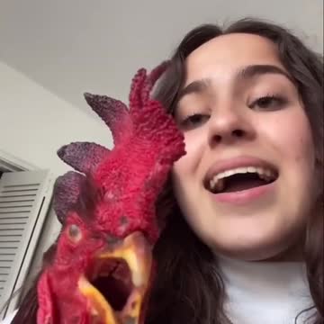 Chicken prove that he is a good partner for duet.mp4