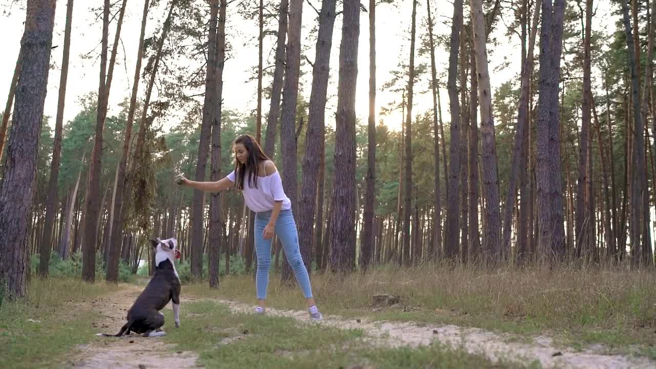 Girl playing with her dog in the forest at sunset