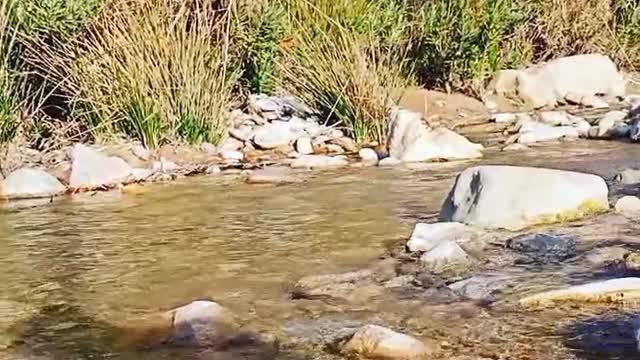 water is life ?