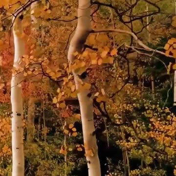 I Prefer to Live and Know I Will Have Loved Ones to Welcome Me When My Time is Over #affirmations