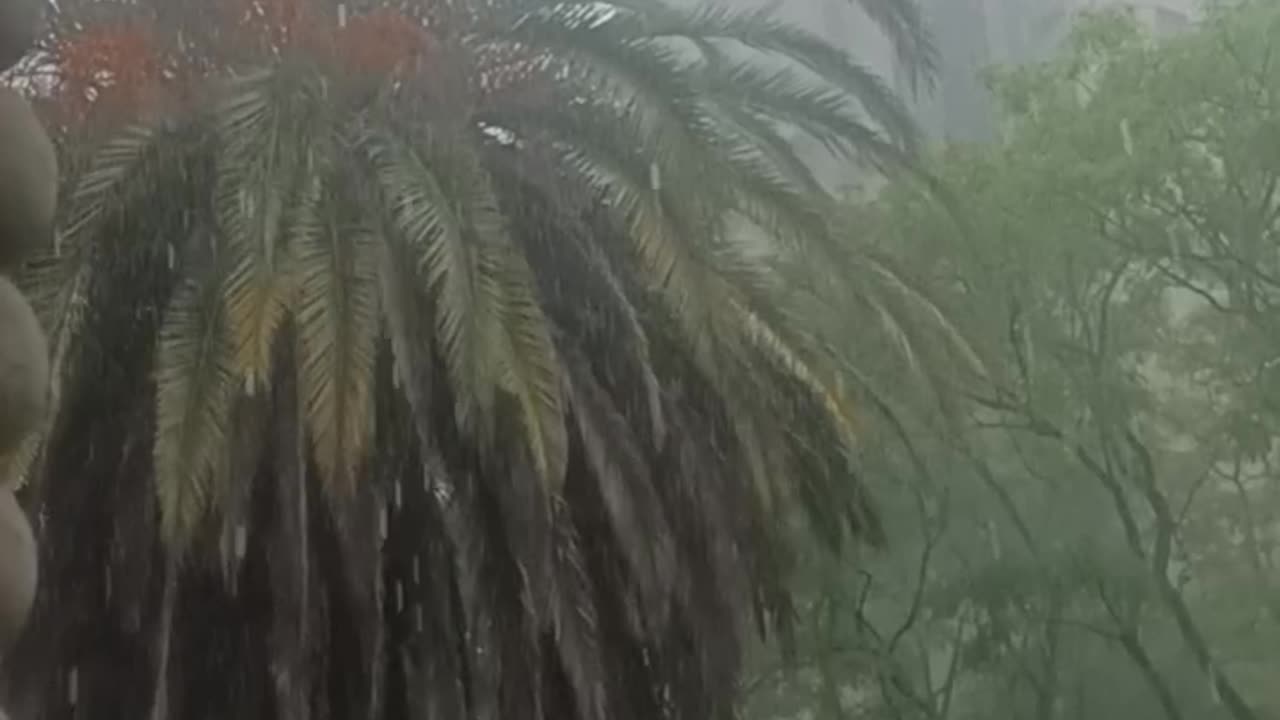 Lluvia en Pocitos, Montevideo