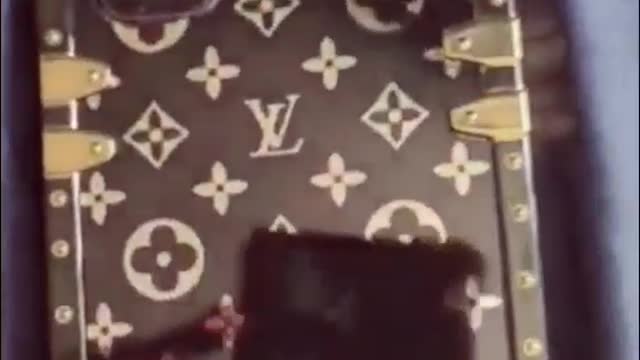 LV phone case