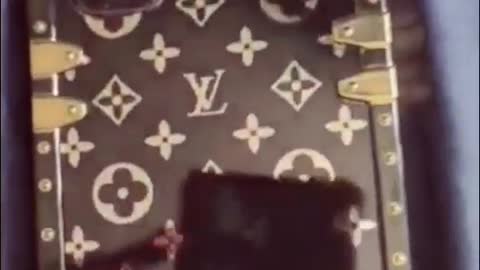 LV phone case