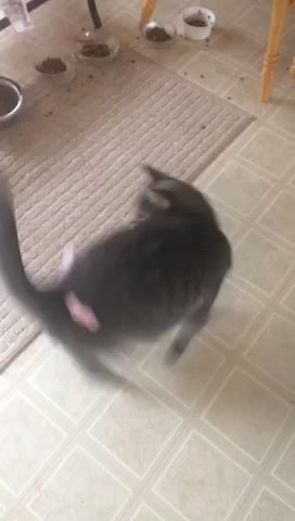 Rhey can’t get the foam off her