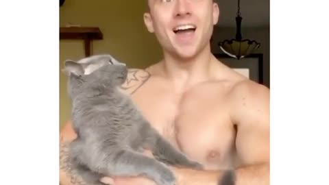 Cat goes silent after hitting a guy that starts singing