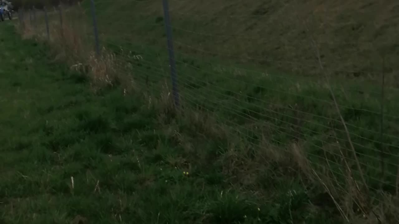 Niespodzianka podczas biegania