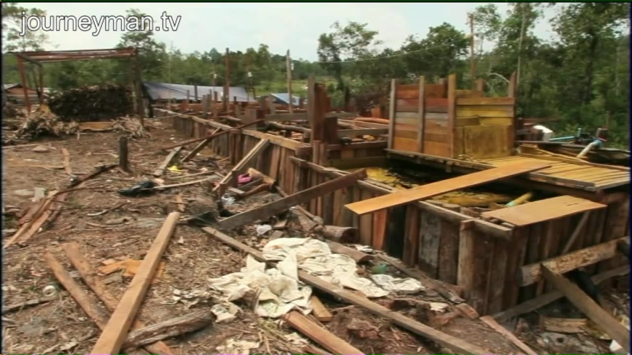 Death in the Forest - Cambodia