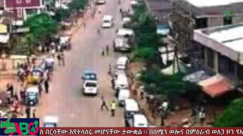 ጥቅምት 16፣ 2024 ONM-ABO እለታዊ የኦሮሞ ነፃነት ሰራዊትና የኦሮሚያ ውሎ!