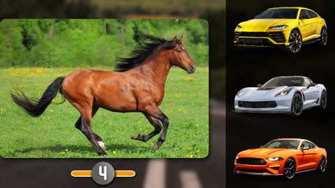 Guess The Car by The Animal Car Quiz Challenge