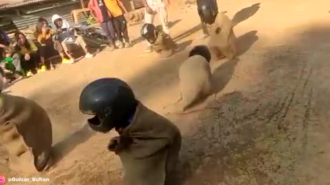World class video of child's jumping play