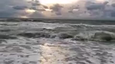 Funny video 2024