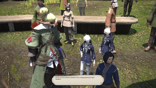 FF14 Grinding to 90 28