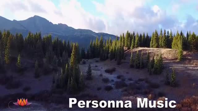 Zen Music: relaxing for a better life